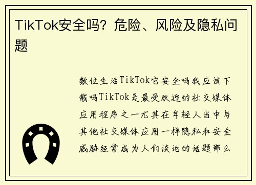 TikTok安全吗？危险、风险及隐私问题