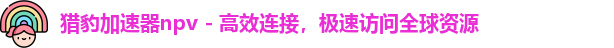 猎豹加速器app下载官网